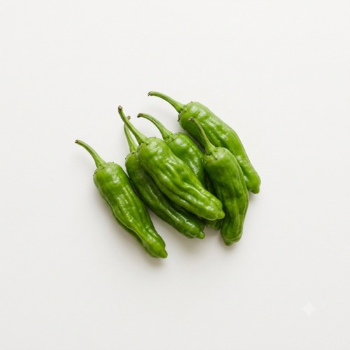 꽈리고추