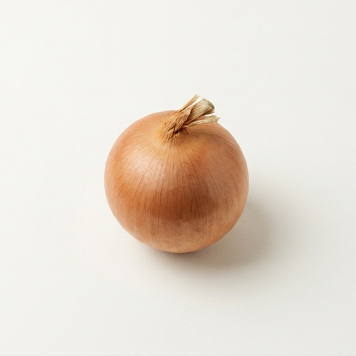 양파