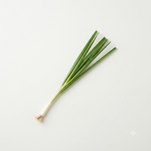 쪽파