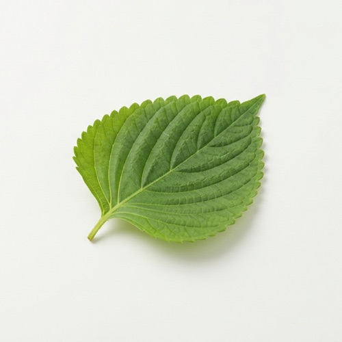 깻잎