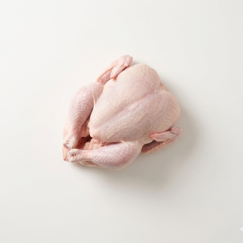 닭고기 육계